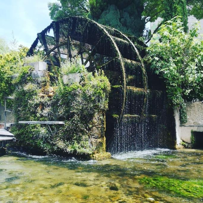 STUDIO Intra Muros au calme LʼIsle-sur-la-Sorgue Extérieur photo